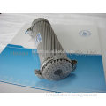 ACSR High voltage overhead conductor withASTM B232